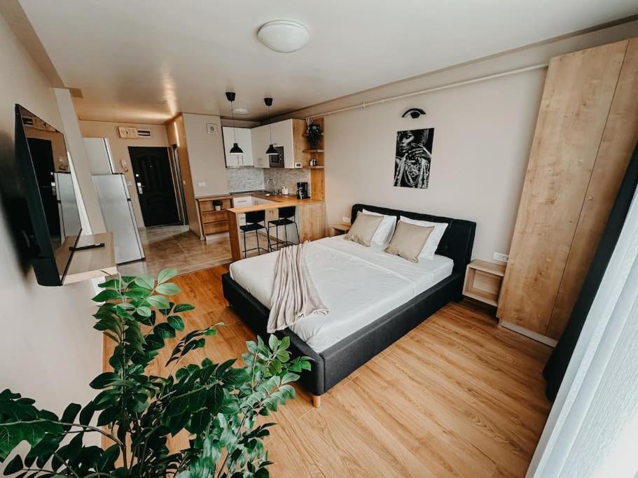 Apartmán Agoll Victoria - Self Checkin Resita Exteriér fotografie