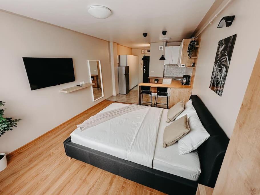 Apartmán Agoll Victoria - Self Checkin Resita Exteriér fotografie